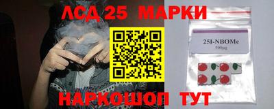 винт Сланцы