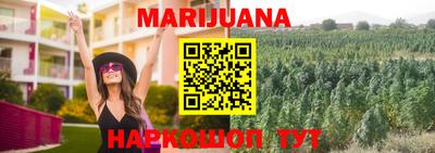 винт Сланцы