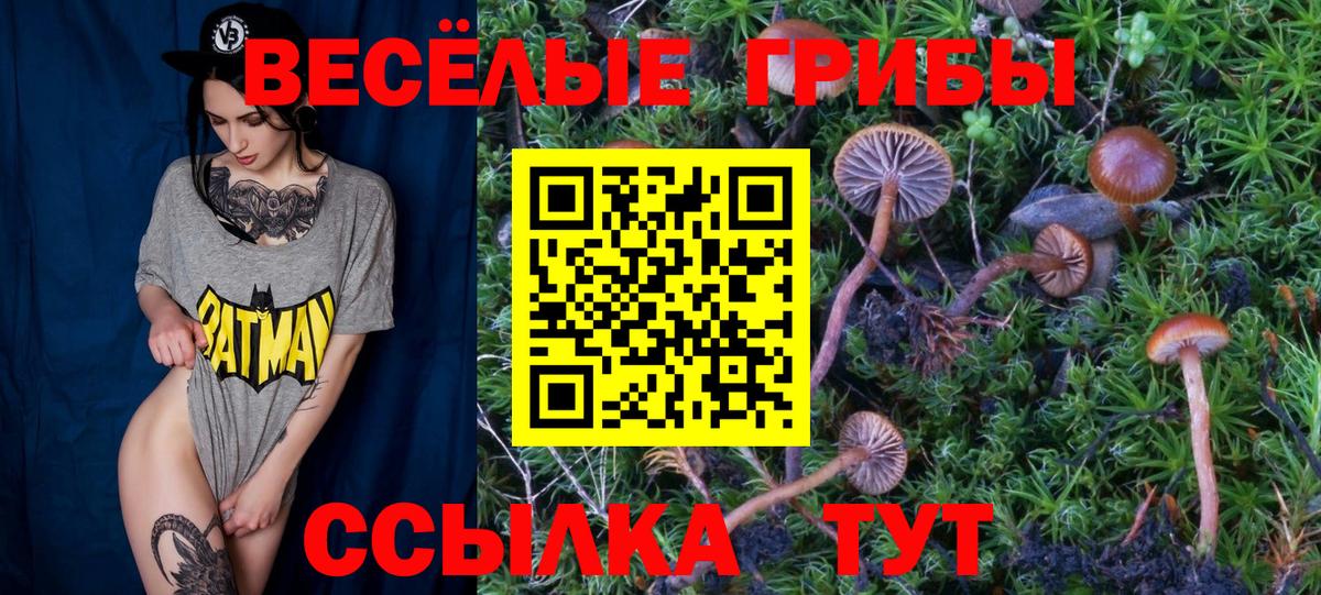 Псилоцибиновые грибы Magic Shrooms  Вход с VPN  Нурлат 